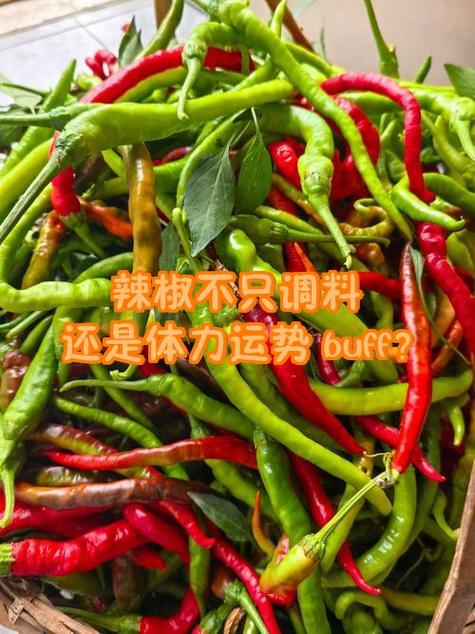 孕妇梦见死了好多人_梦见辣椒预示怀孕_梦见辣椒预示旅行