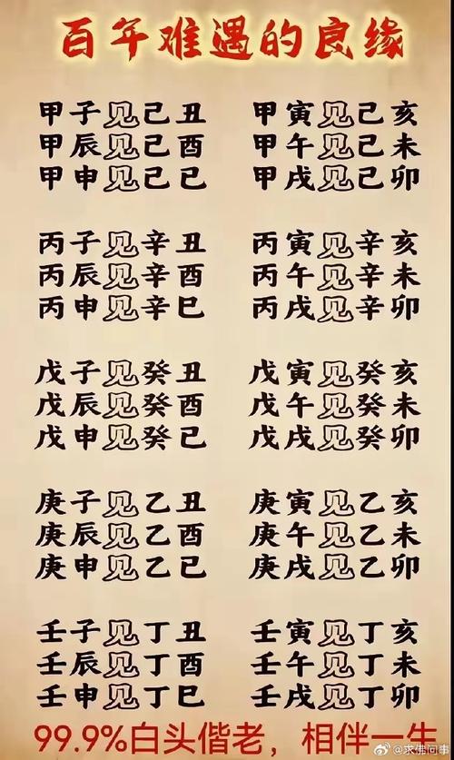 丁巳日柱丙辰大运丙申流年 _ 丁火日主丙火大运竞争压力 _日柱日主坐劫财