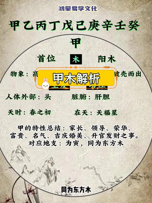 甲木性格特点分析_甲木五行属性解释_八字无财无官