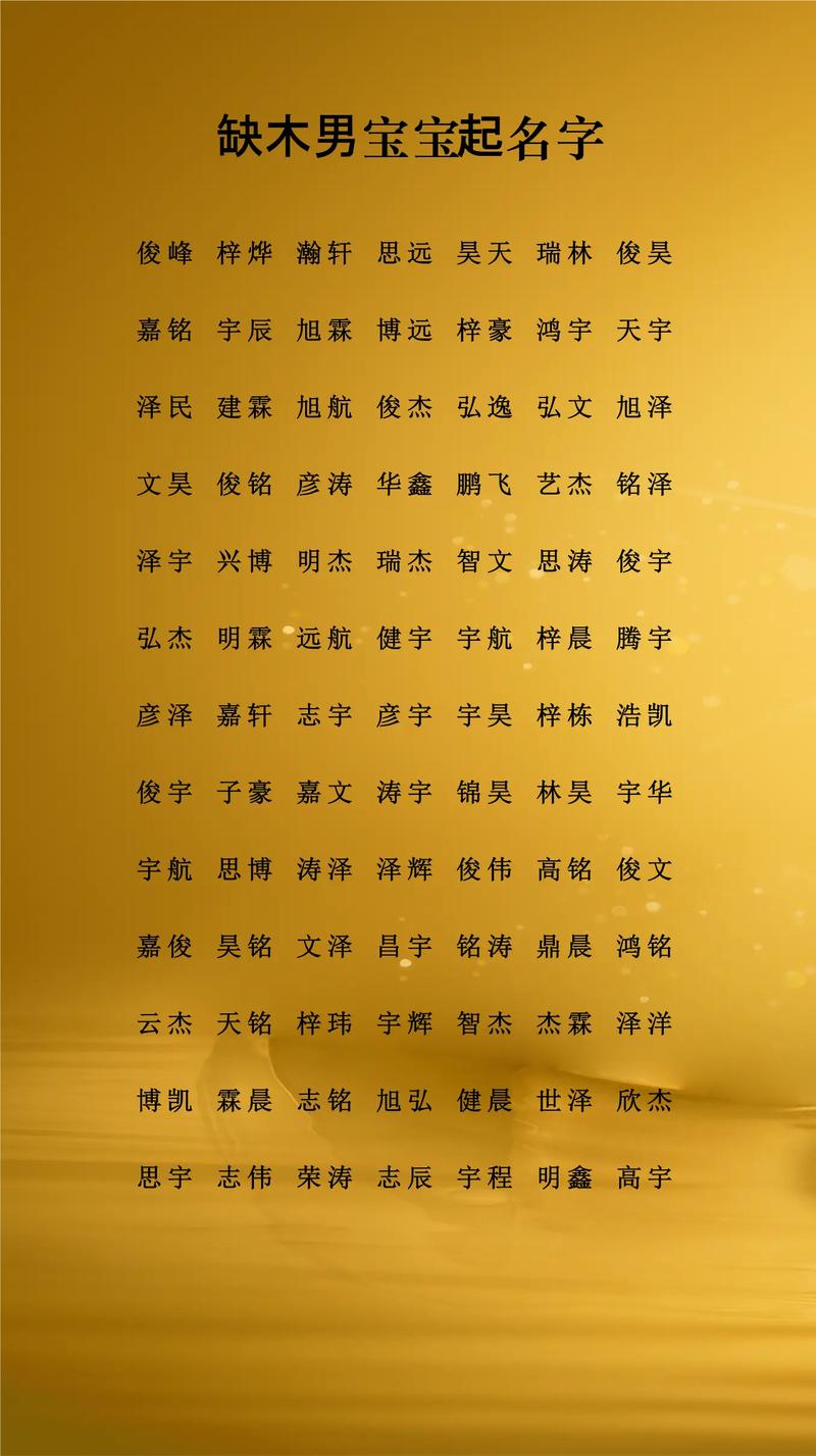 路姓五行缺木男孩名字大全_路姓男孩名字大全_路姓男孩起名2026猴年