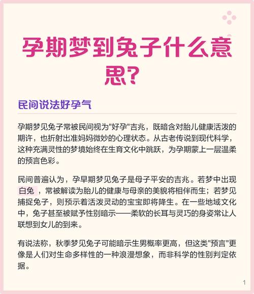 兔子五行寓意分析_梦见兔子_梦见兔子吉凶预兆