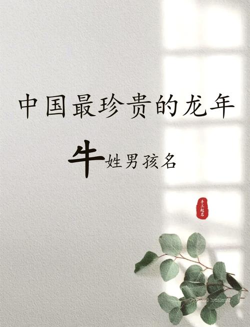 属牛男孩名字大全_给牛姓男宝宝起名_牛年男孩取名技巧