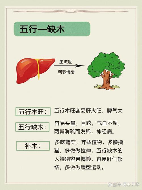 八字五行缺木_五行缺木怎么弥补_木的能量不足影响