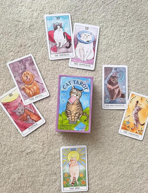 塔罗牌占卜软件_塔罗猫手机版app_爱情塔罗牌怎么玩图解