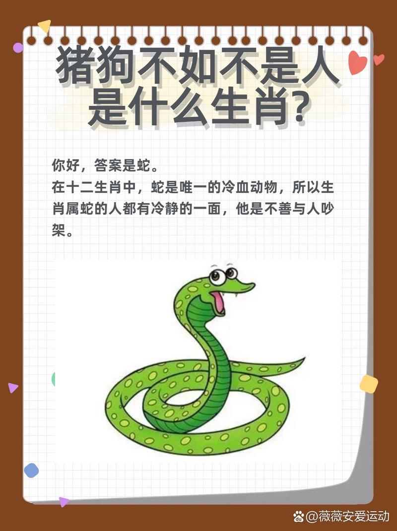 属猪人的隐形克星是属蛇吗_属猪和属蛇的相处_生肖属蛇的人相克属相