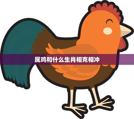 1969年属什么生肖属相_69年属鸡最配属相_69年属鸡克星属相
