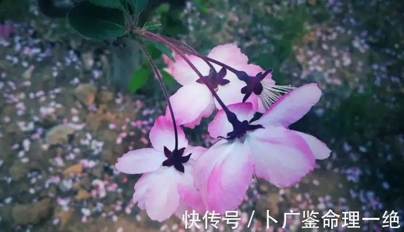 八字测你属于什么格局_八字合婚选择_婚姻稳定性分析