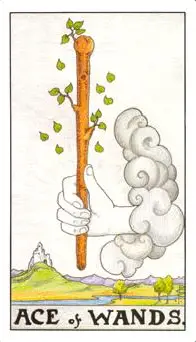 免费塔罗牌占卜 财运_塔罗牌财运分析_财务状况塔罗牌解读