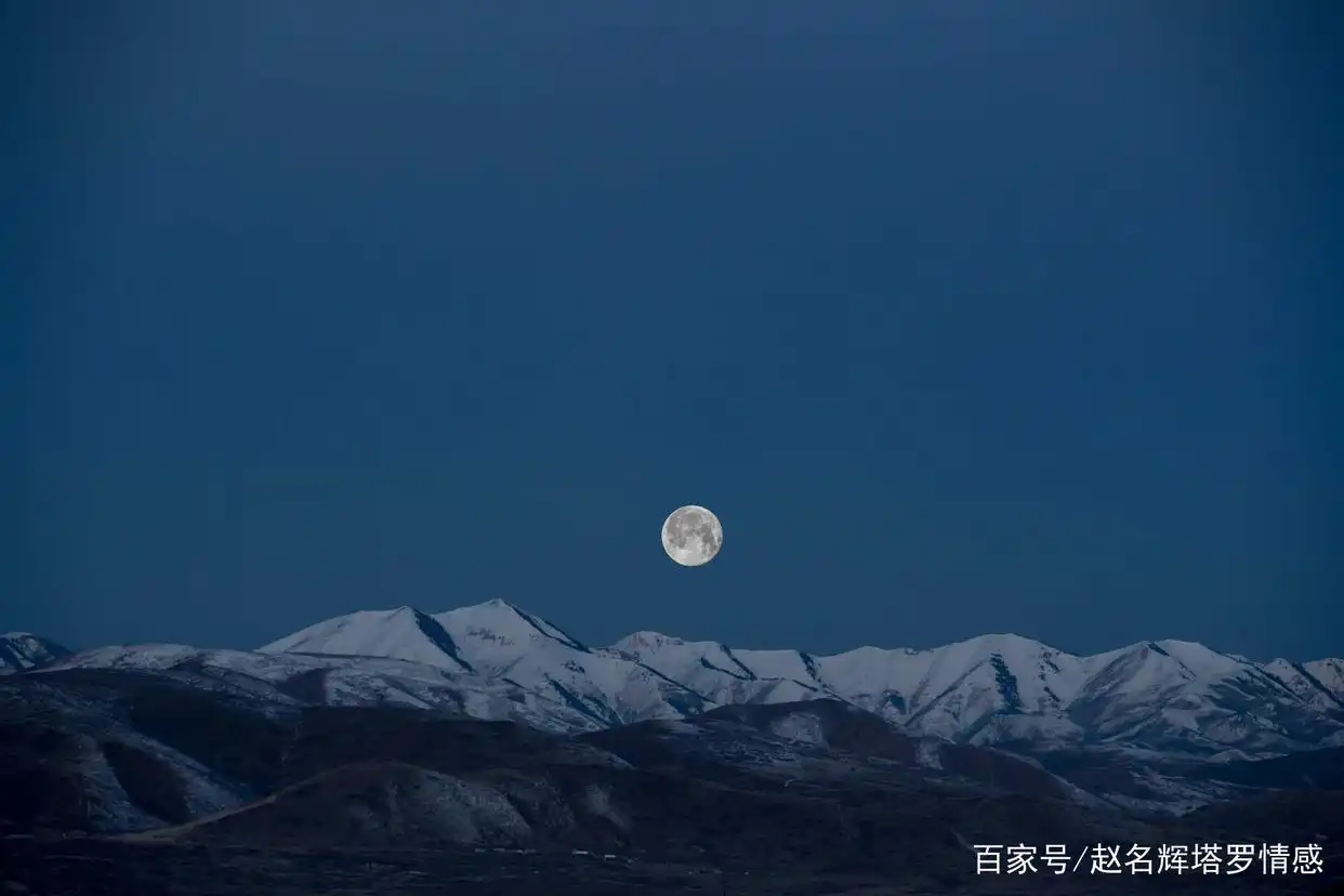 星币王牌预示事业新机遇_塔罗牌占卜规则_塔罗牌占卜问题大全