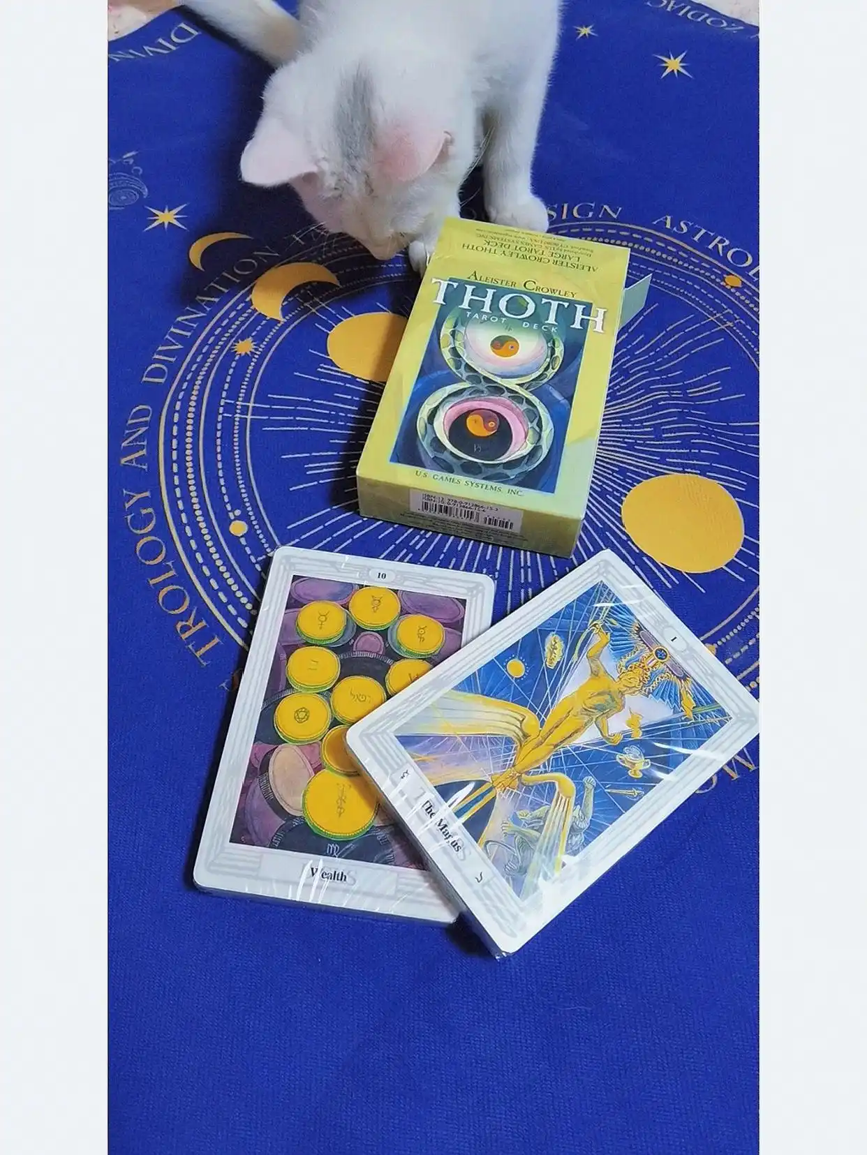托特塔罗牌 详解_韦特塔罗星币十区别_托特塔罗圆盘十解读