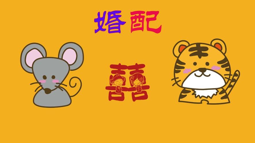生肖文化解读_属相与生肖的区别_生肖五行查询