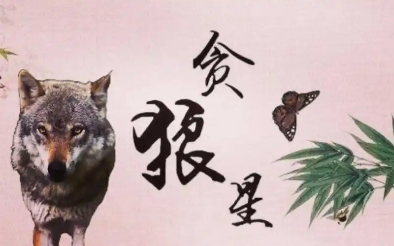 杀破狼命格到底有多惨_杀破狼星宿_七杀破军贪狼