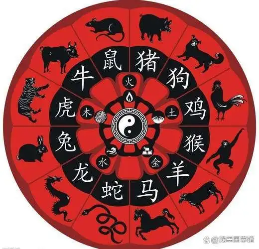 八字命局与大运关系_八字算命为什么那么准_生辰八字排盘