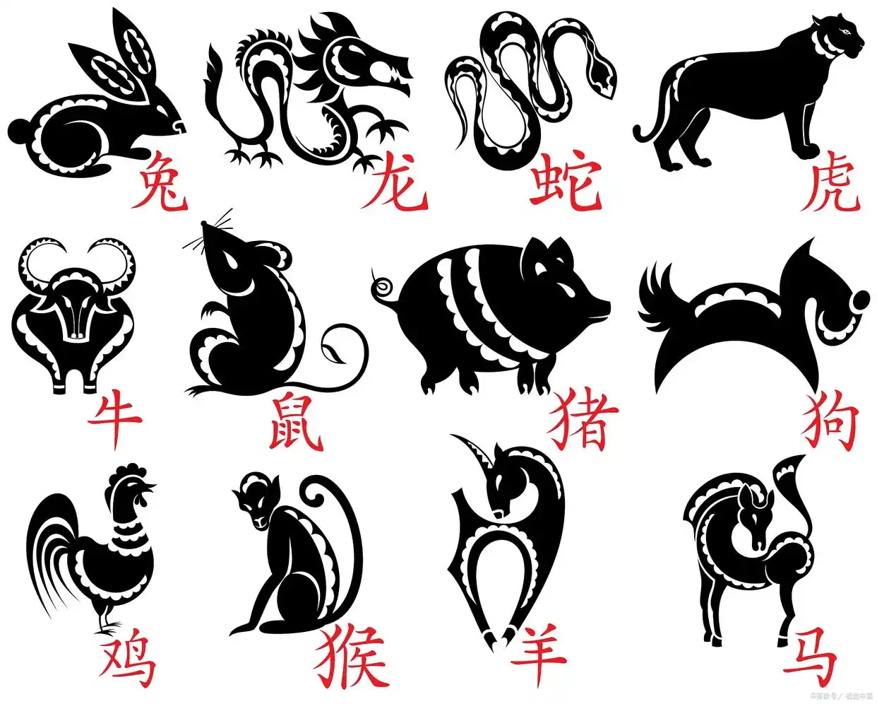 十二生肖阴历阳历区别_生肖属相是按农历还是阳历_农历新年确定生肖时间