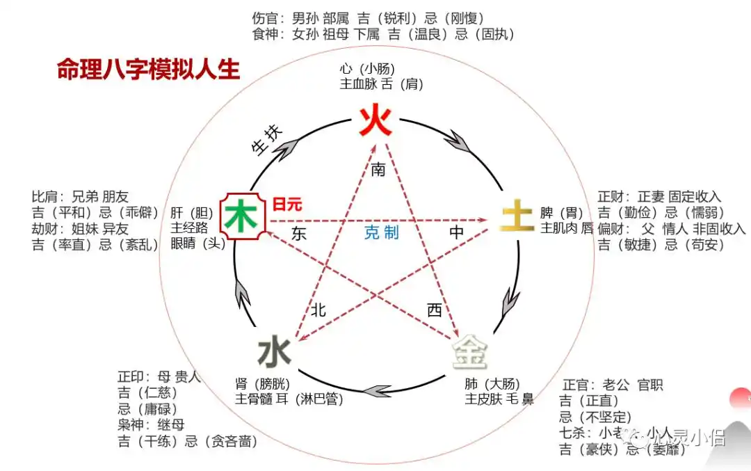 八字算命基础知识汇总_地支六合与六害详解_八字命理学基础知识
