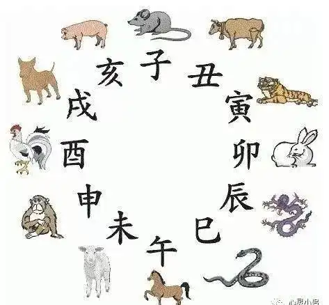 八字算命基础知识汇总_地支六合与六害详解_八字命理学基础知识