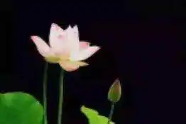 命带三个天乙贵人_天乙贵人论昼夜分阴阳_天乙贵人遇生旺之性灵颖悟
